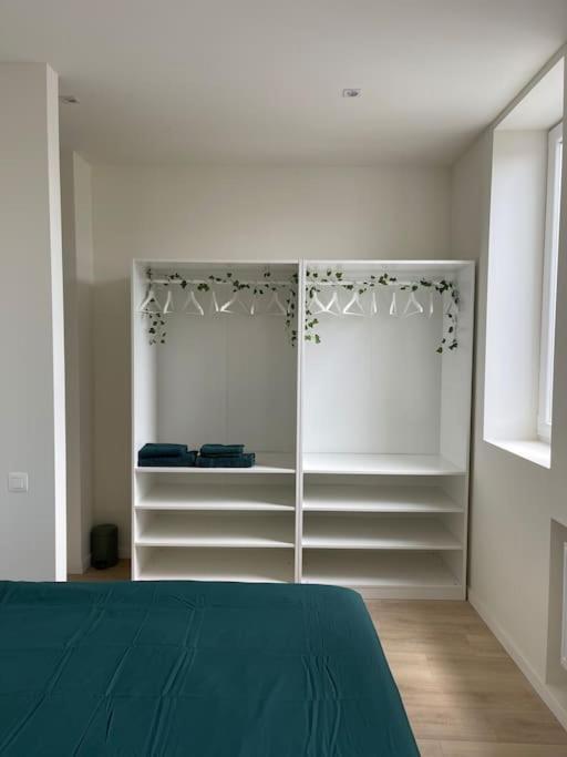 Schitterend Sint - Jacobs Loft In Antwerpen Apartment Ngoại thất bức ảnh